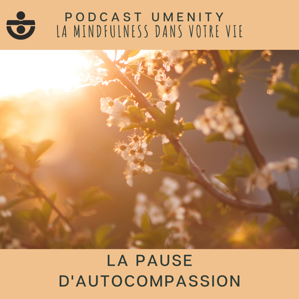 pause d'autocompassion